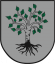 Wappen von Birkfeld