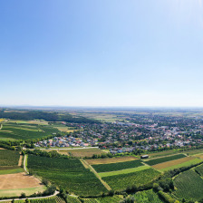 Wolkersdorf im Weinviertel Projekt